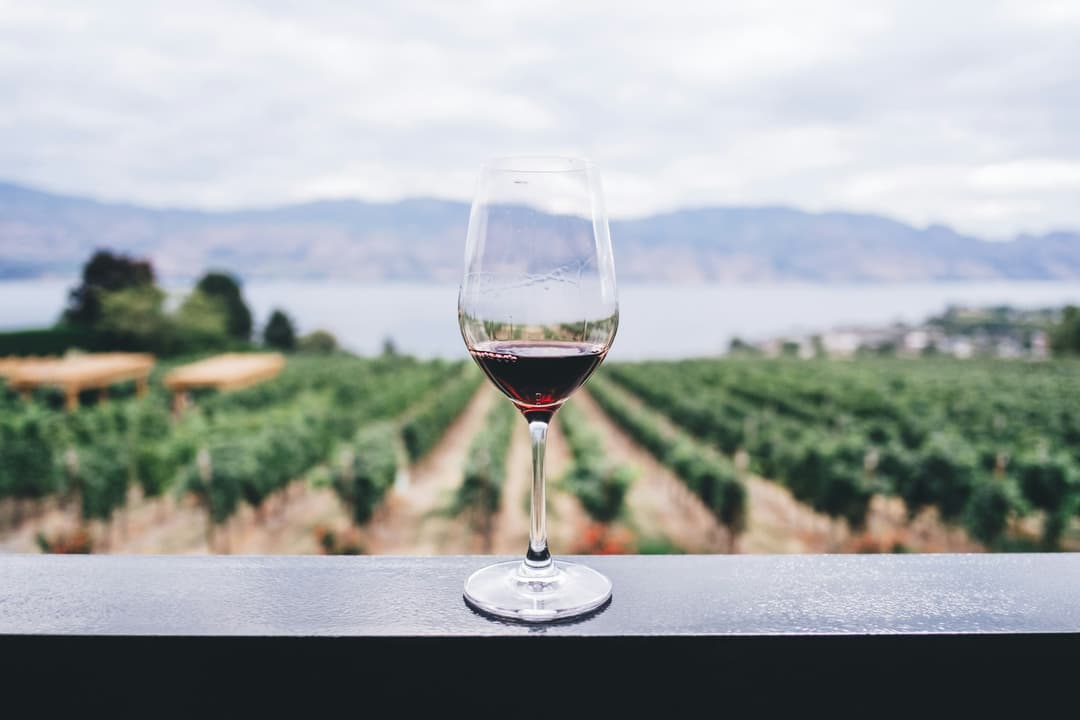 Wine & Artisan Cheese Pairing
