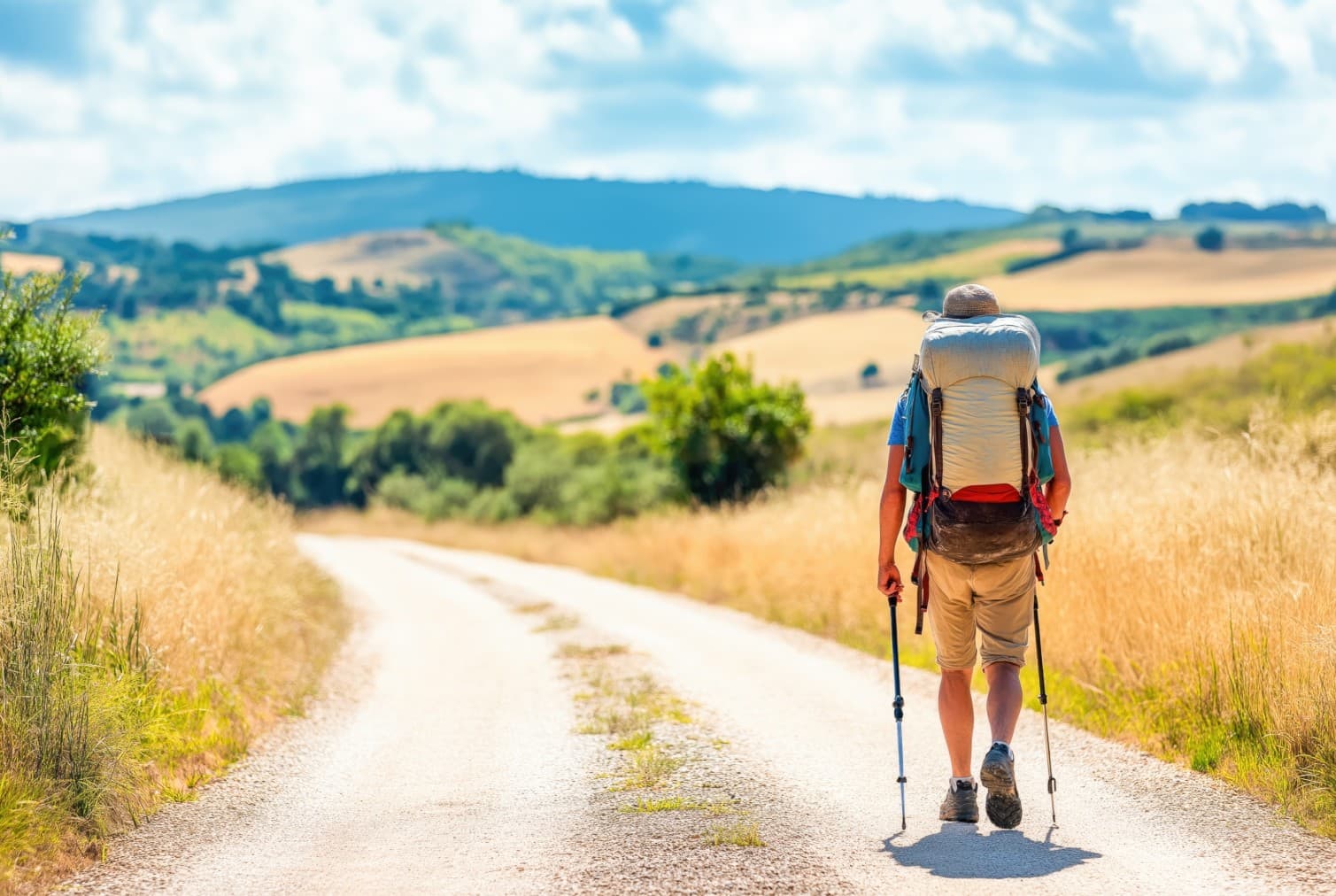 Pilgrim Trails & Nature Walks