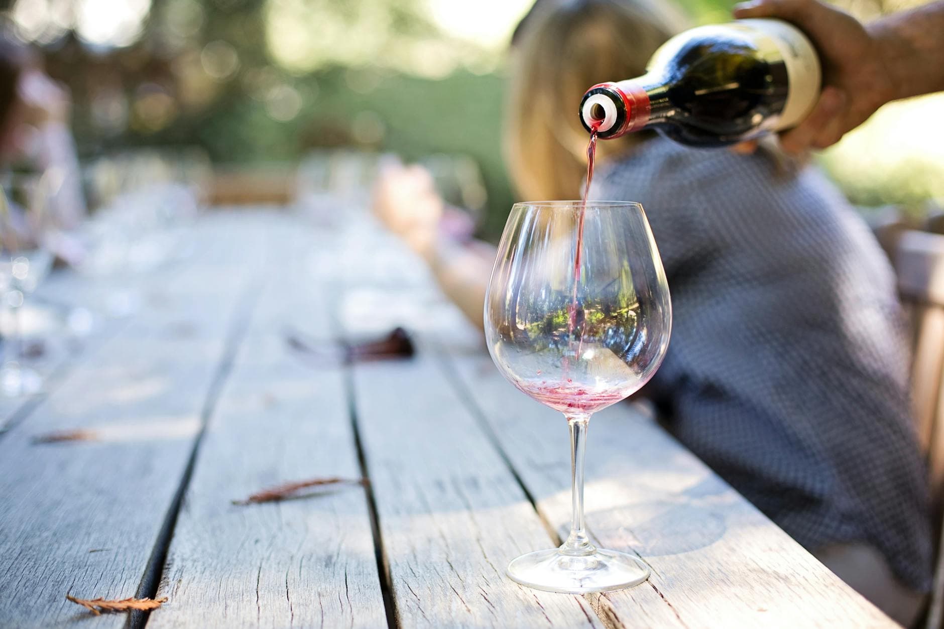Vineyards & Wine Tasting