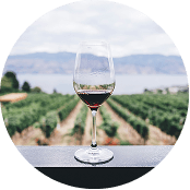 Bucelas Wine & Vineyard Experience