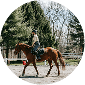 Horseback Riding in Bucelas